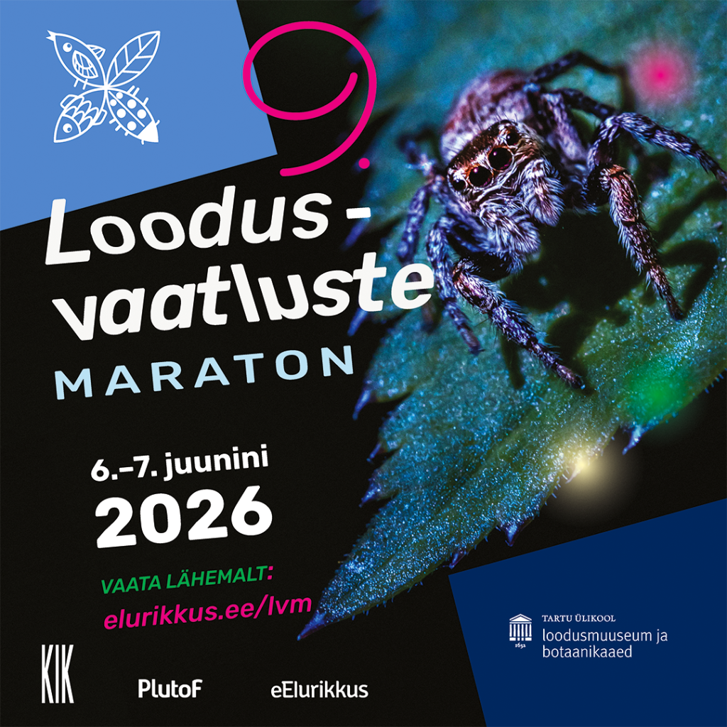 Loodusvaatluste maraton